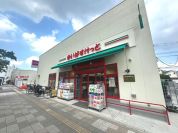 まいばすけっと扇大橋駅東店