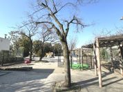 足立区立扇みしま公園