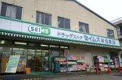 ドラッグセイムス 谷在家店