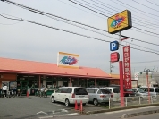 カズン草加店