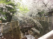 音無親水公園