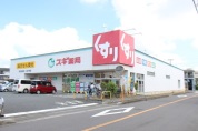 スギ薬局川口元郷店