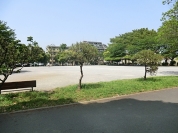 東綾瀬公園