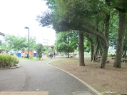 中央公園