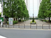 中央公園
