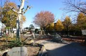 皿沼東公園
