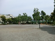 若松公園