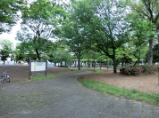 諏訪木西公園