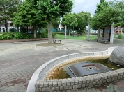 扇いちょう公園