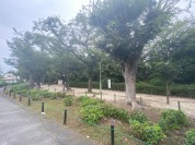 新郷若宮公園