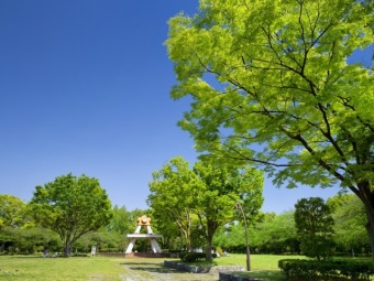 亀戸中央公園