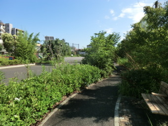 志茂ゆりの木公園