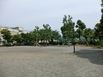 若松公園