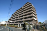 マンション