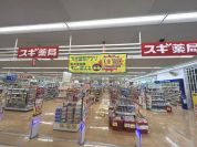 スギドラッグ戸田下前店