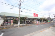 ジェーソン 足立辰沼店