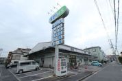 ドラッグセイムス 大谷田店
