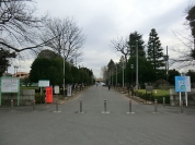 川口市青木町公園