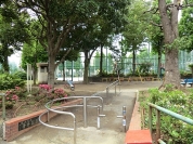 青井公園