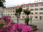 第一寺島小学校