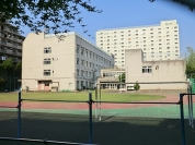 柳島小学校
