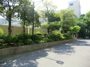 第三松江小学校