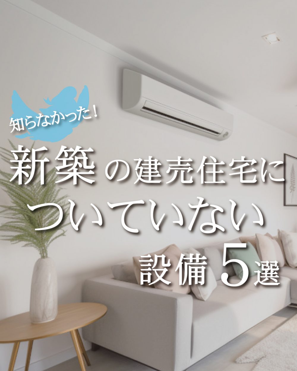 新築の建売住宅についていない設備